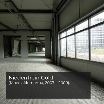 Niederrhein Gold